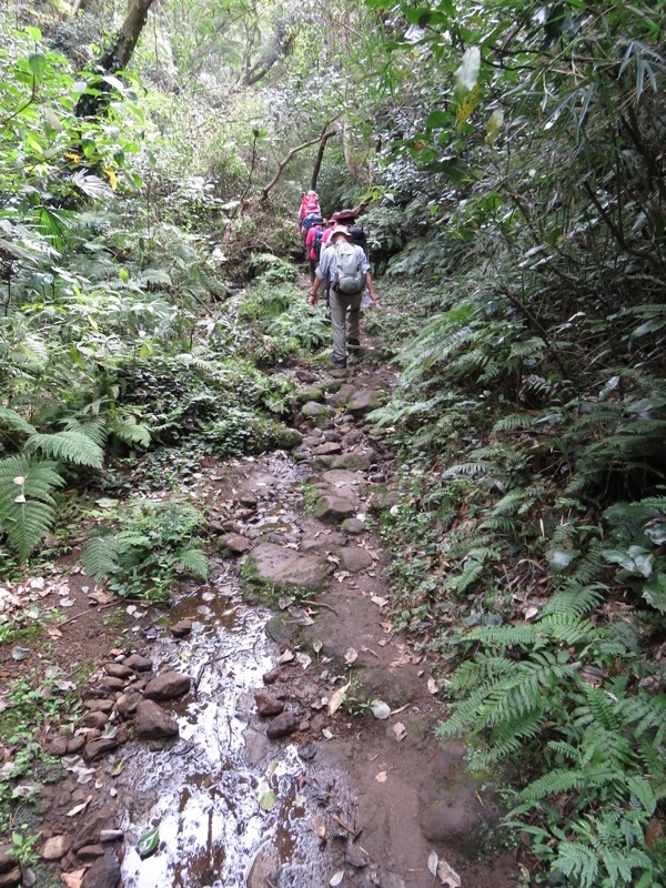 三峰山〜鷹取山登山