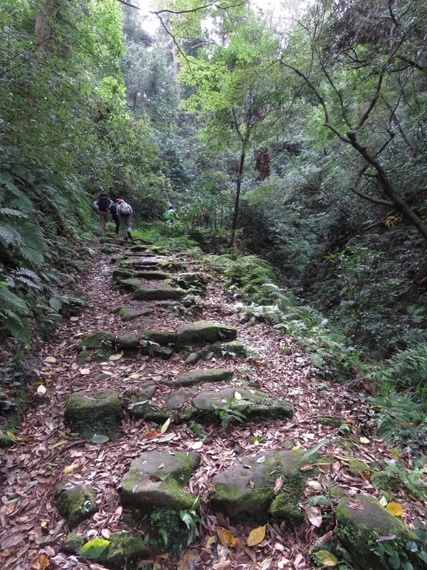 三峰山〜鷹取山登山