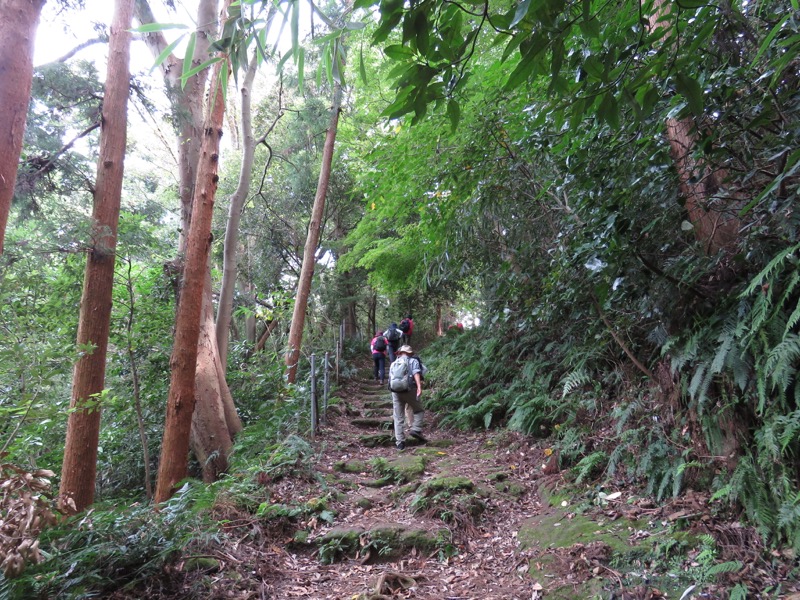 三峰山〜鷹取山登山