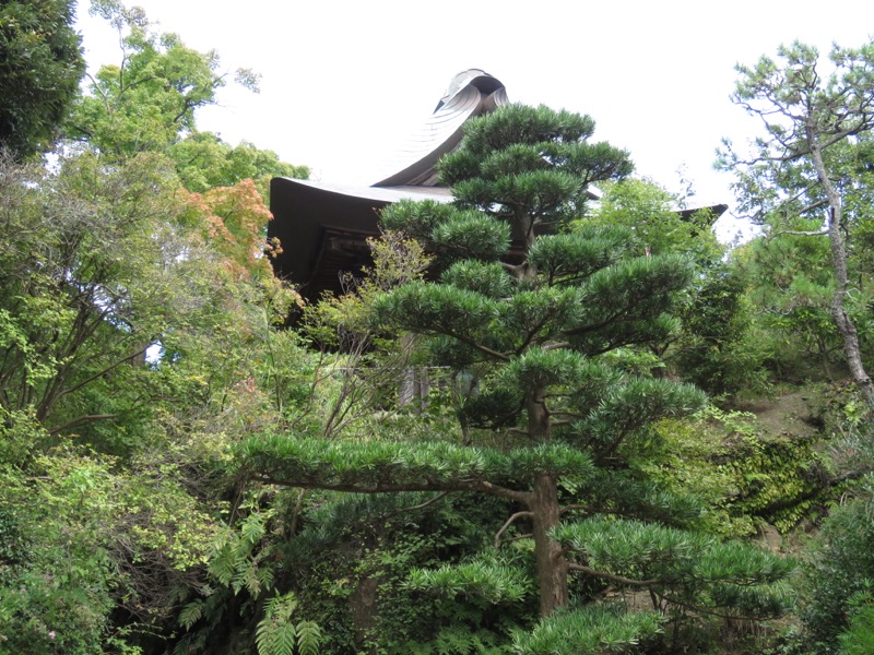 三峰山〜鷹取山登山