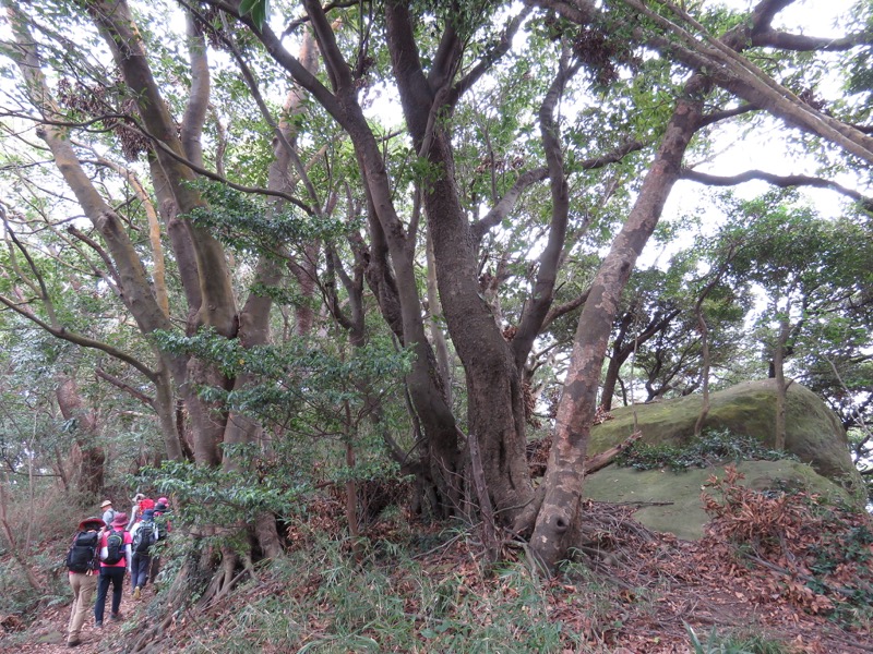 三峰山〜鷹取山登山