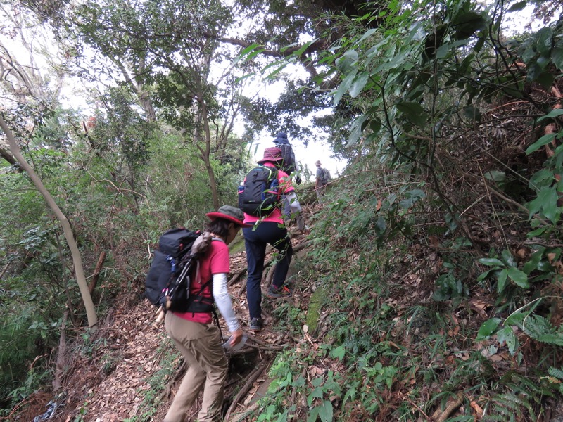 三峰山〜鷹取山登山