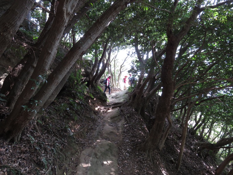 三峰山〜鷹取山登山