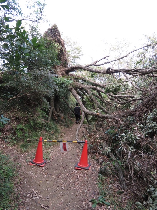 三峰山〜鷹取山登山