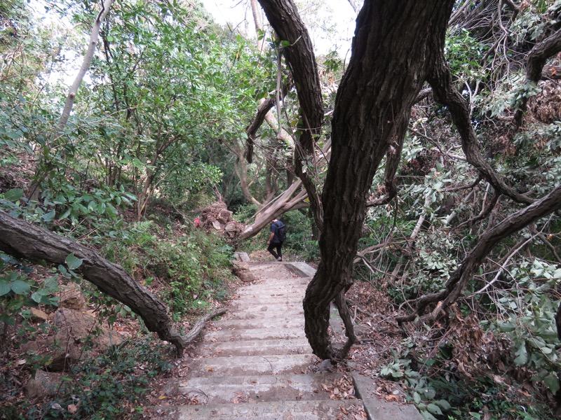 三峰山〜鷹取山登山