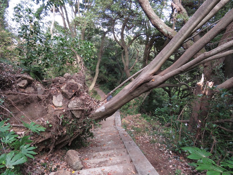 三峰山〜鷹取山登山