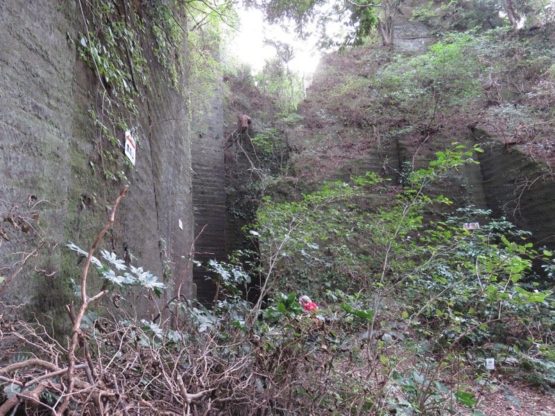 三峰山〜鷹取山登山