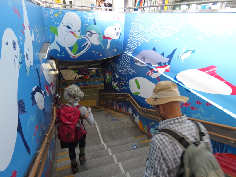 三峰山〜鷹取山登山