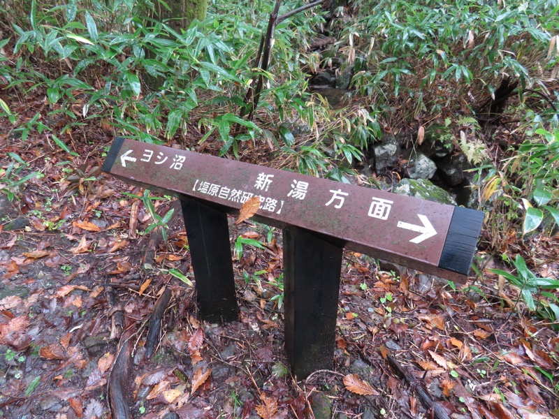 塩原・新湯富士山登山
