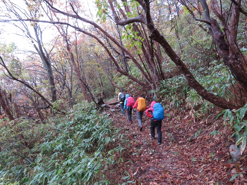 塩原・新湯富士山登山