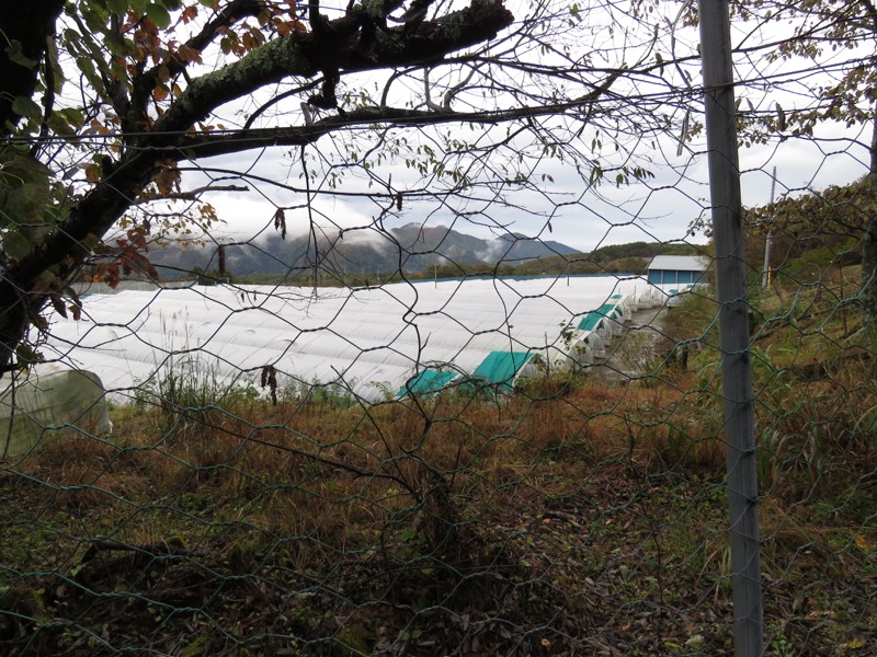 塩原・新湯富士山登山