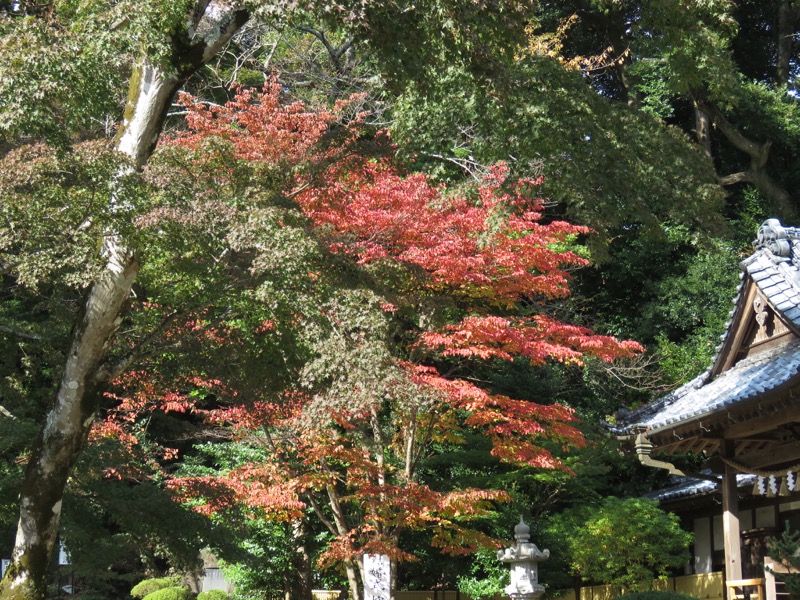 筑波山登山