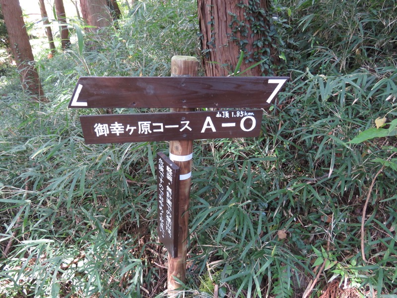 筑波山登山