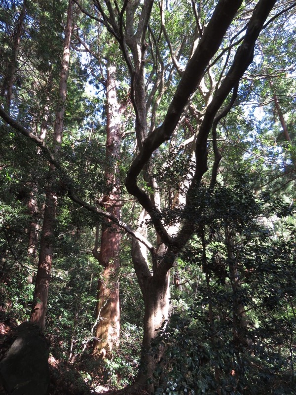 筑波山登山