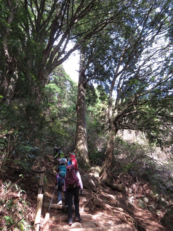 筑波山登山