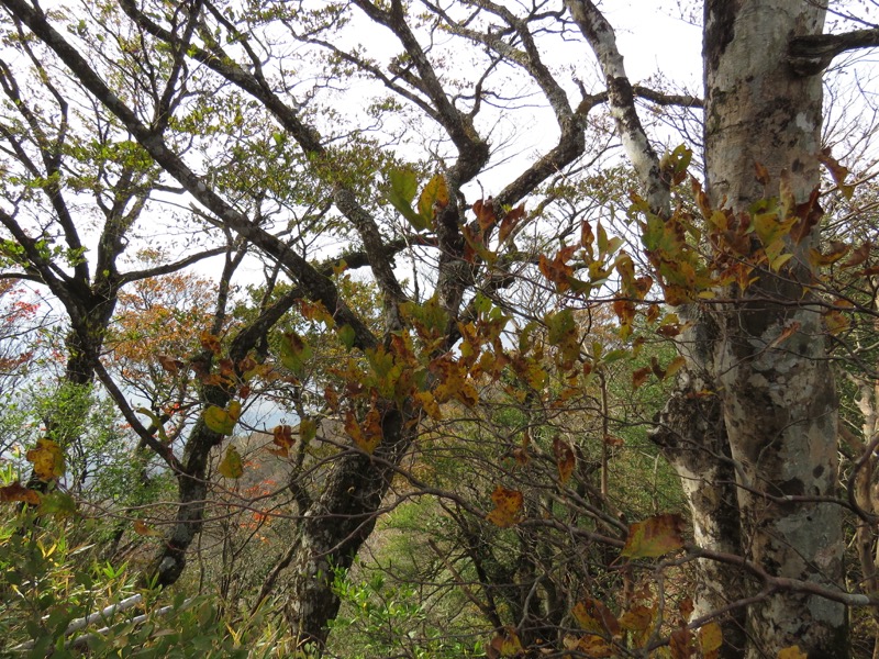 筑波山登山