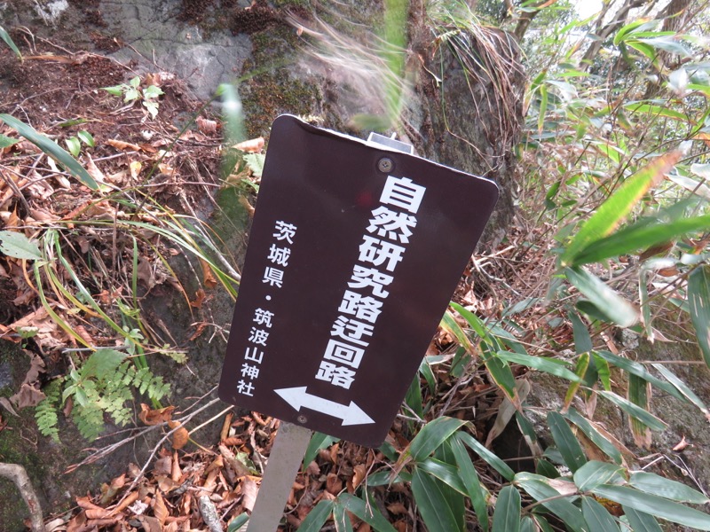 筑波山登山