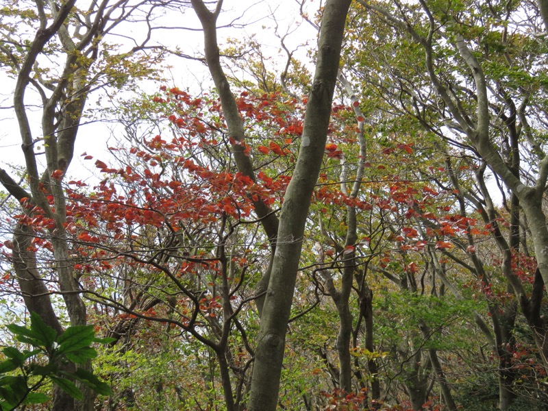 筑波山登山