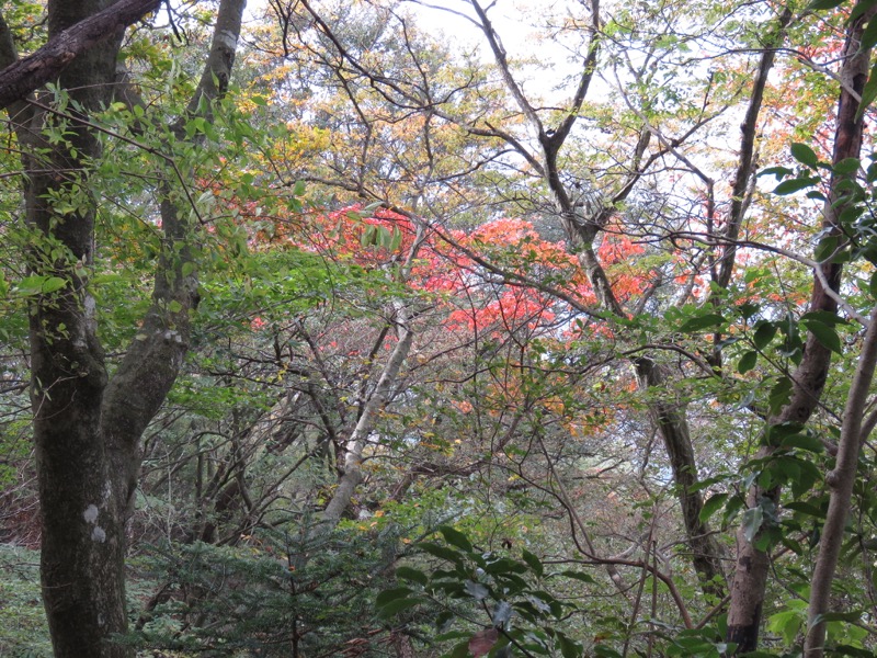 筑波山登山