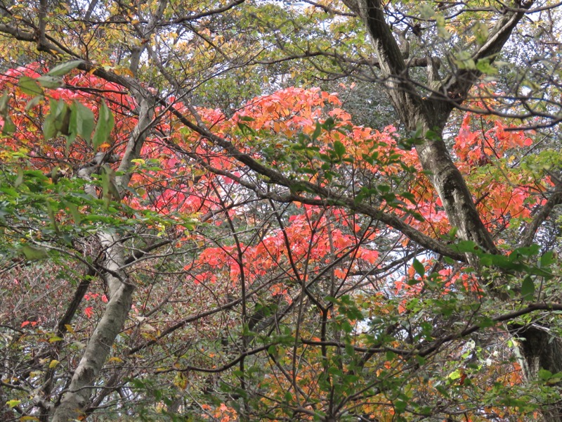 筑波山登山