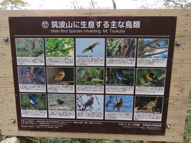 筑波山登山