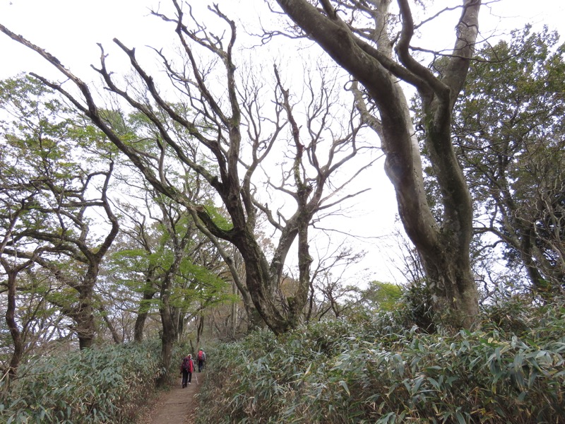 筑波山登山