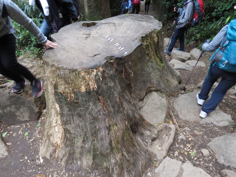 筑波山登山