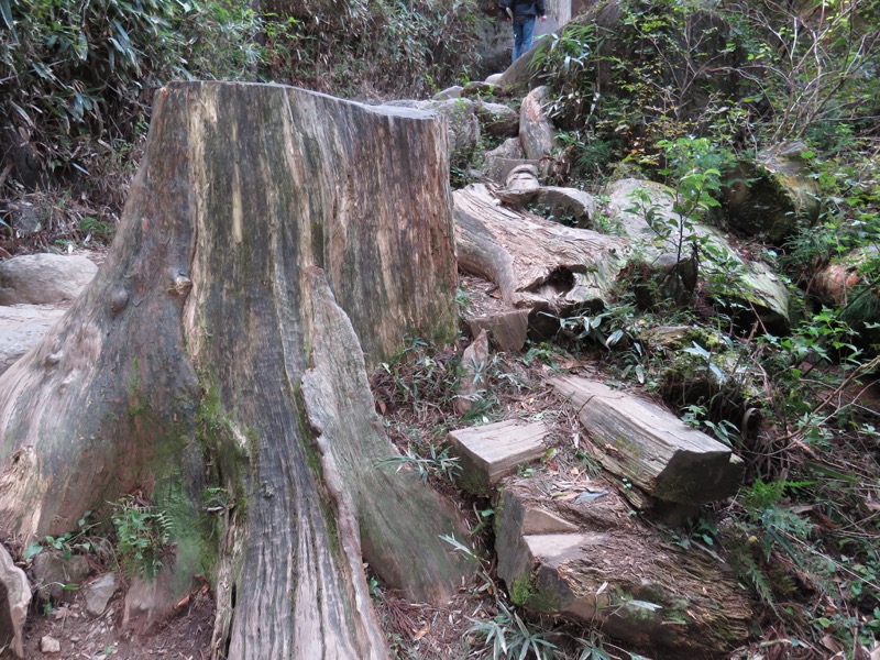 筑波山登山