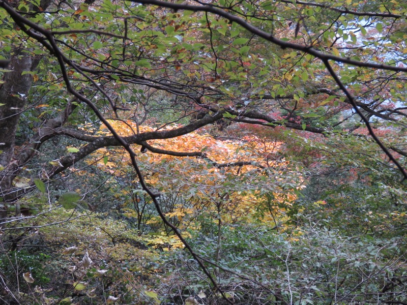 筑波山登山