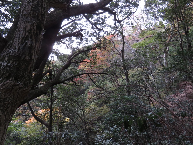 筑波山登山