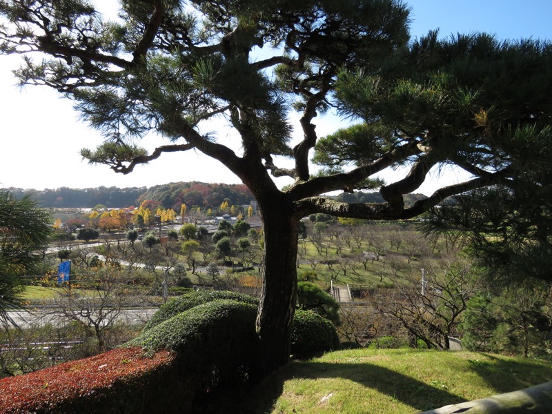 男体山〜袋田の滝