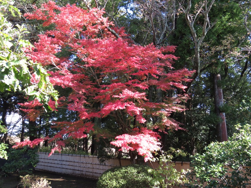 男体山〜袋田の滝