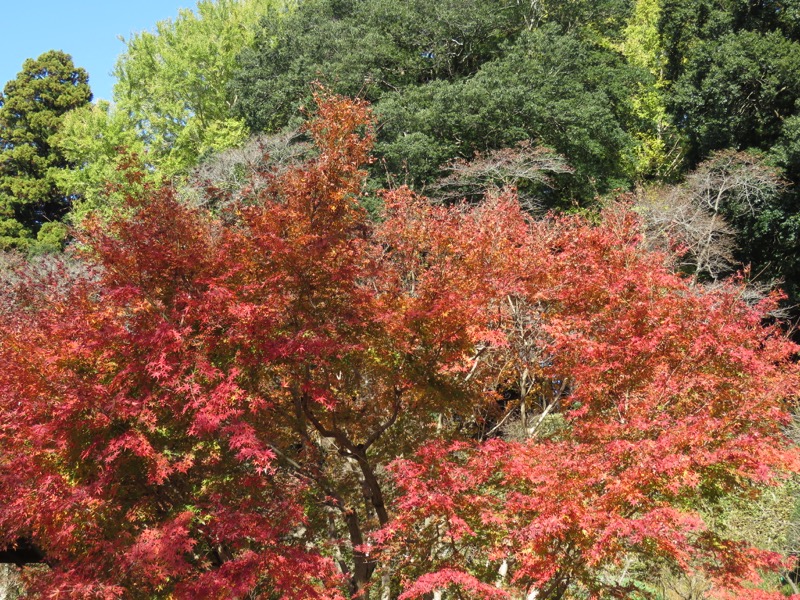 男体山〜袋田の滝