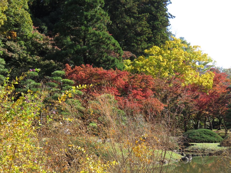 男体山〜袋田の滝