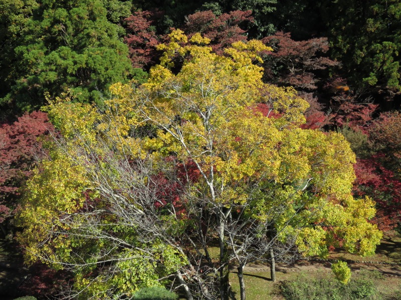 男体山〜袋田の滝