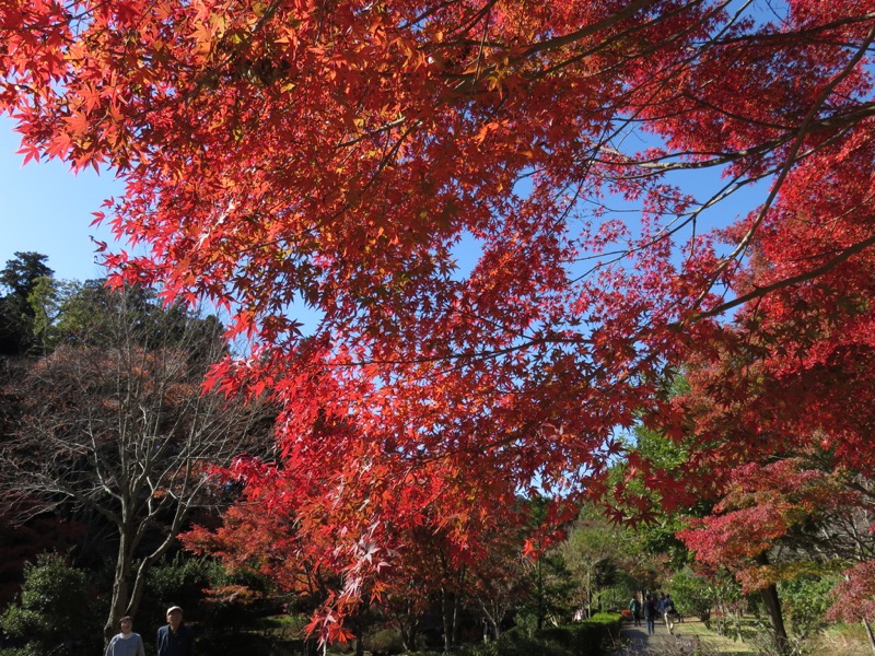 男体山〜袋田の滝