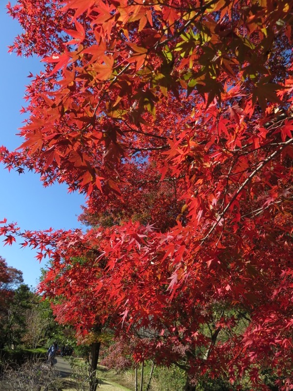 男体山〜袋田の滝