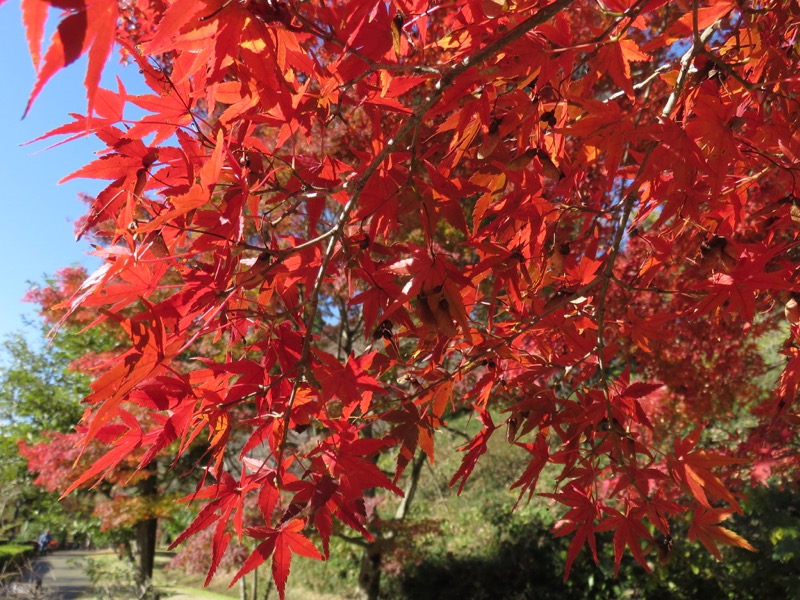 男体山〜袋田の滝