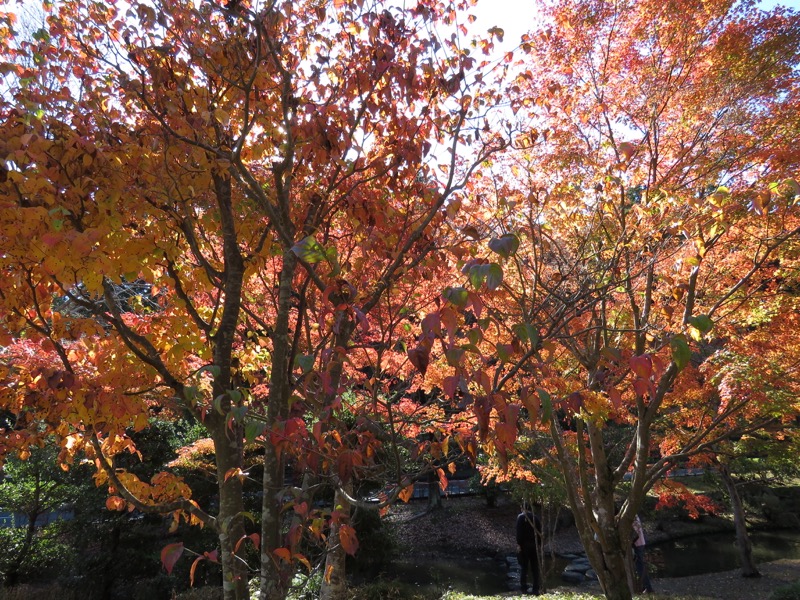 男体山〜袋田の滝