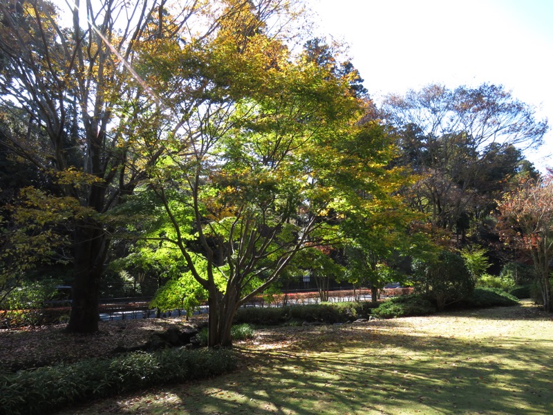 男体山〜袋田の滝