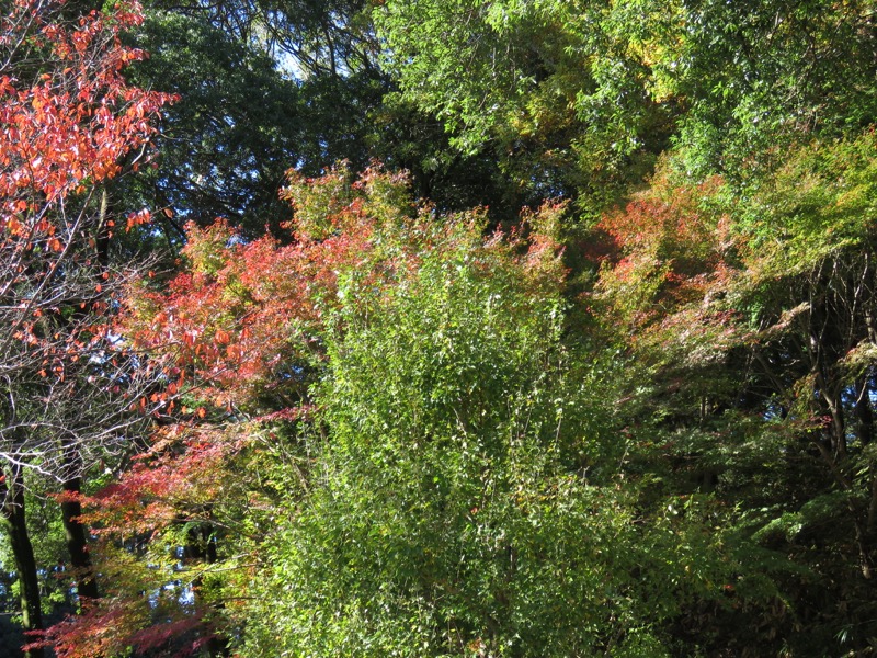 男体山〜袋田の滝