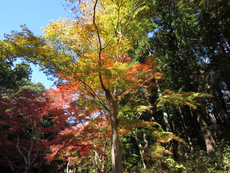 男体山〜袋田の滝