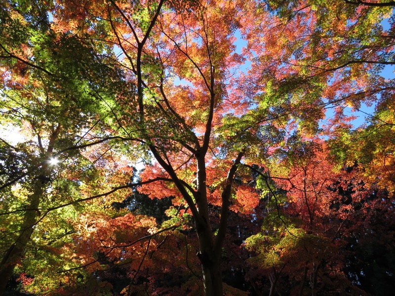 男体山〜袋田の滝