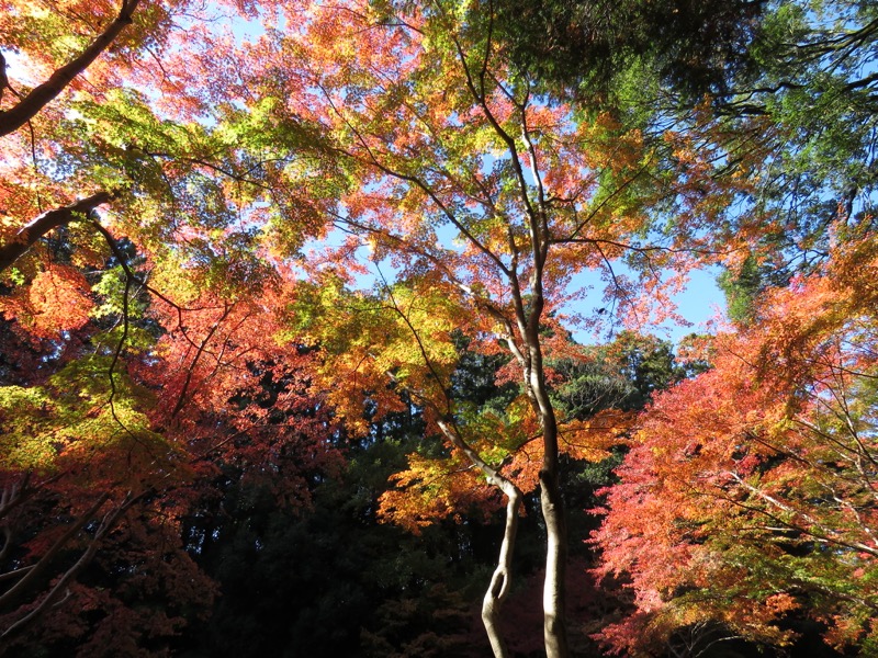 男体山〜袋田の滝