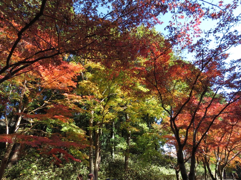 男体山〜袋田の滝