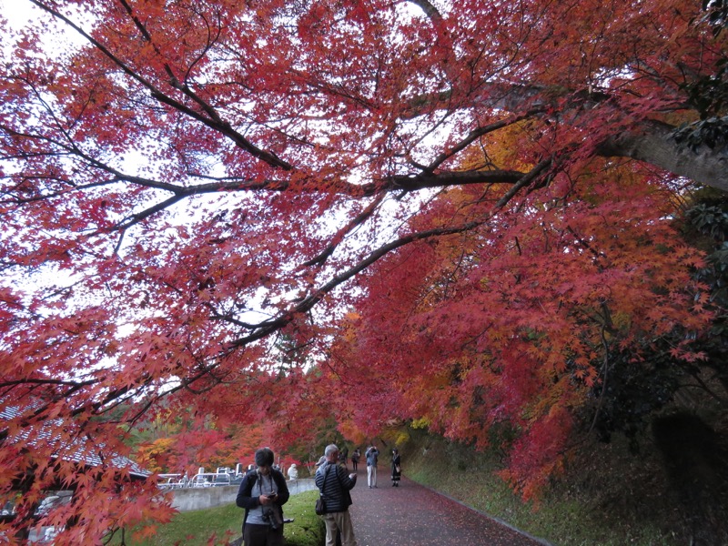 男体山〜袋田の滝