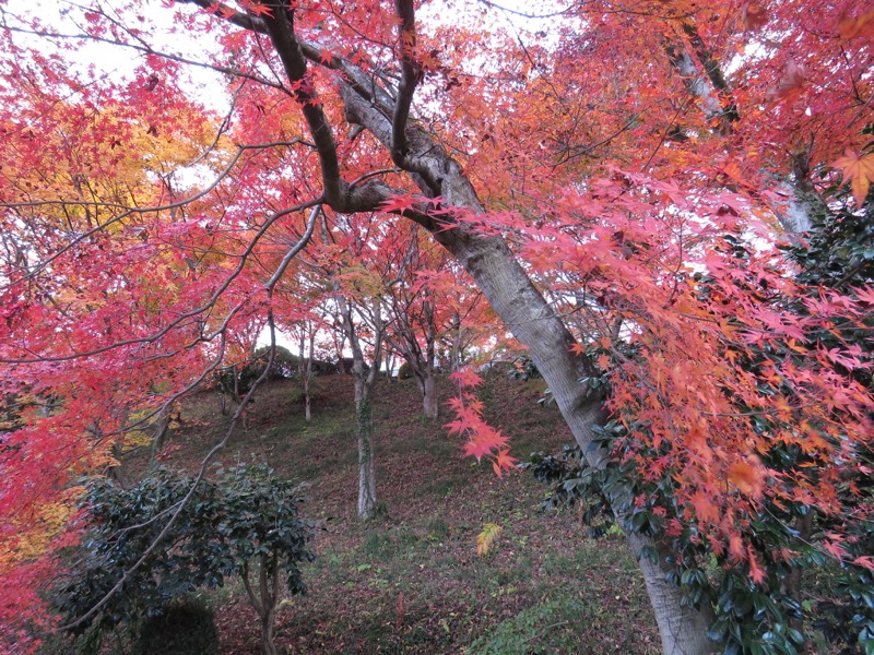 男体山〜袋田の滝