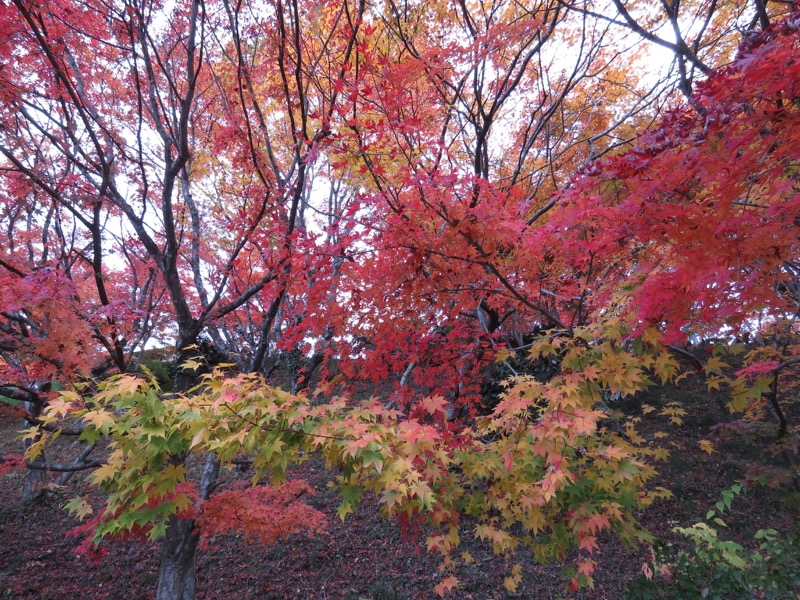 男体山〜袋田の滝