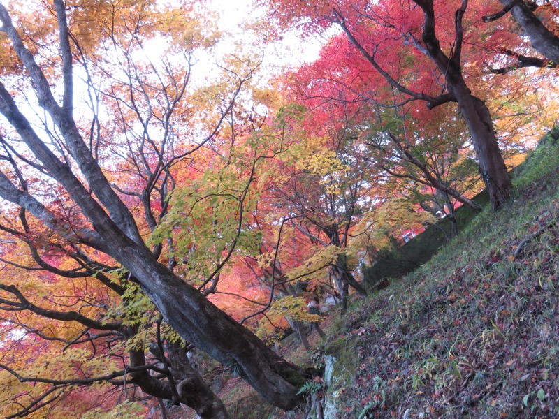 男体山〜袋田の滝