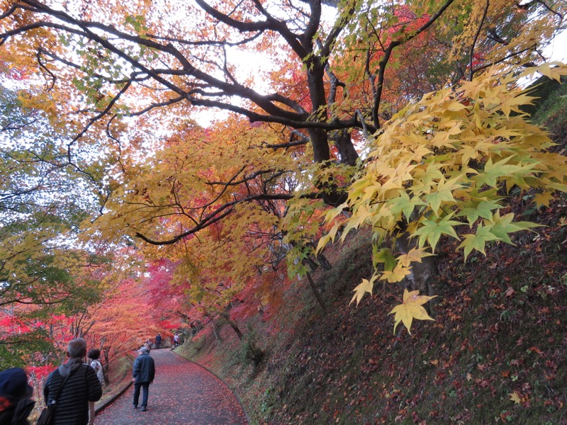 男体山〜袋田の滝